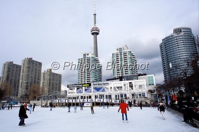 canada ontario  01.JPG - Patinoire en plein air et tourTorontoOntarioCanada